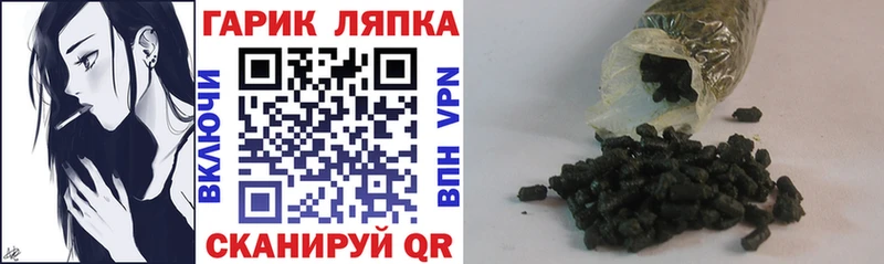 ГАШ ice o lator  Городище 