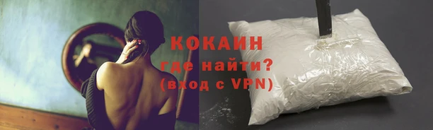 apvp Богородск