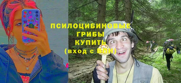 spice Сатка